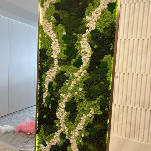 办公室走廊永生苔藓墙