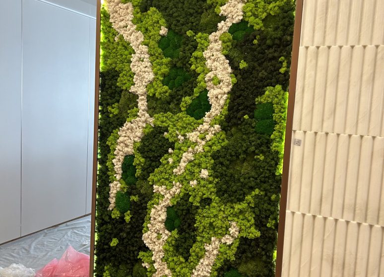办公室走廊永生苔藓墙