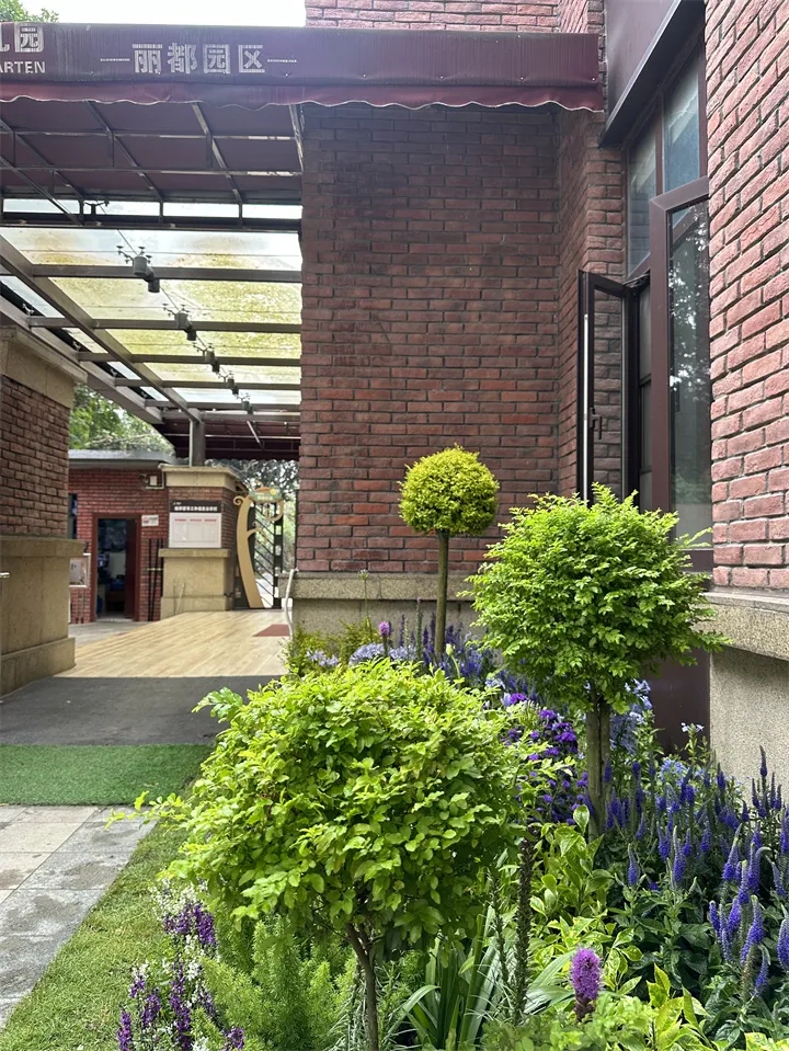 🌸幼儿园梦幻园林，花箱月季与花镜共舞🌼